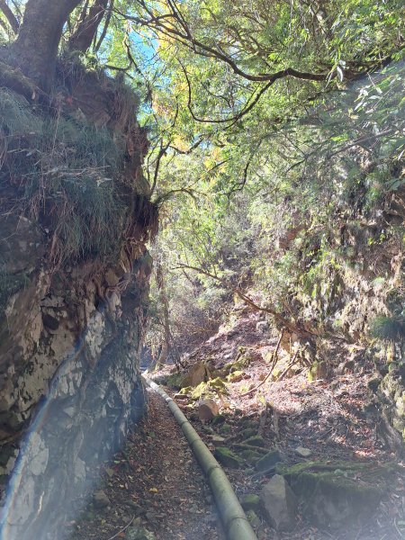 石山引水道202512112959578