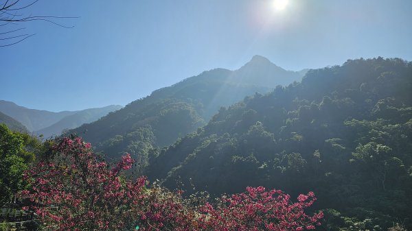 橫龍山 橫龍山北峰 騰龍山 龍年爬龍山2423186