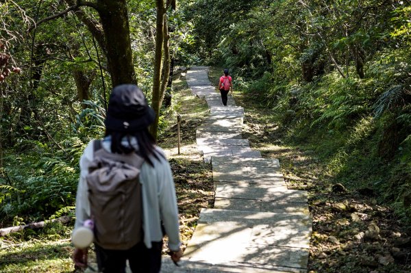 五分山｜小百岳2915433