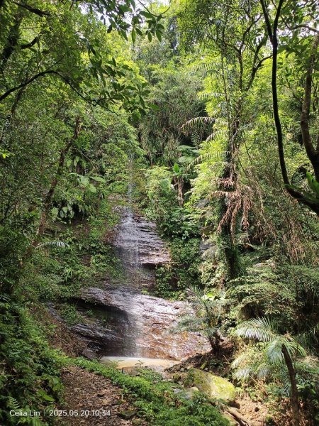 雙溪蝙蝠山-苕谷瀑布-麻竹坑山-梅竹蹊山2793950