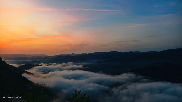翡翠水庫壩頂 #火燒雲雲海 #日出雲海 #鱷魚島 #藍腹鷴 4/292772683