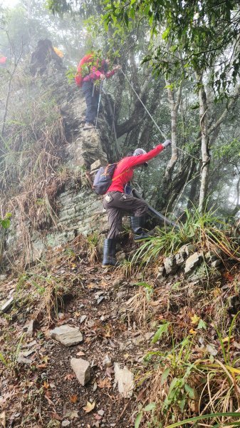 111/12/18藤枝森林園區東藤枝山、藤枝山1979581