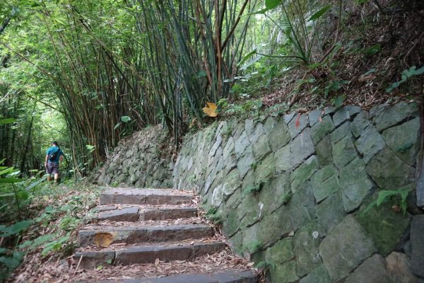 〔北投〕半嶺吊橋 半嶺水圳古道 半嶺瀑布 松溪瀑布。剛完工不久，滿滿森林芬多精的半嶺水圳步道2220904