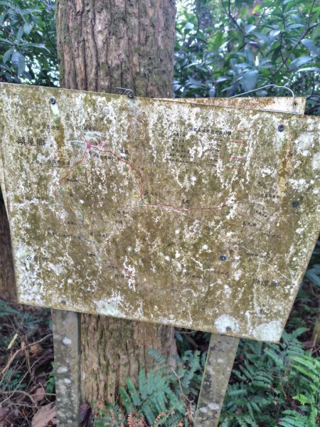 鳳鳴古道 鳳鳴山 南隘勇（南長城）古道 三湖山 八達嶺（龍骨）古道 綠色古道 延平古道2975222