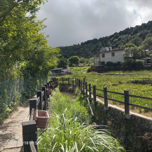 臺北大縱走第二段：二子坪至小油坑2840546