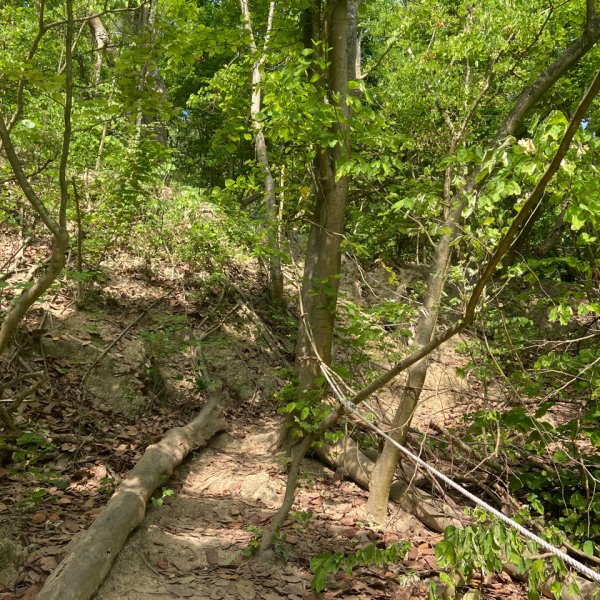 柴山，一年四季3085744