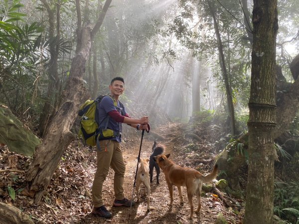 馬那邦山.細道邦山【你 不能預判山的變幻莫測】2401475