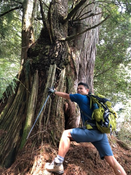 鹿屈山.水漾森林1405043