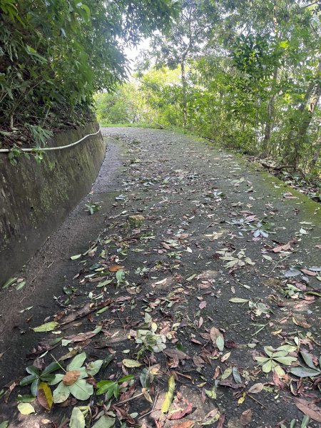 [屏步青雲 尋寶任務-06/10] 2024_1005 笠頂山步道2616673