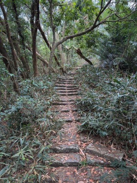 風空子山- 一睹南化水庫風景2771397