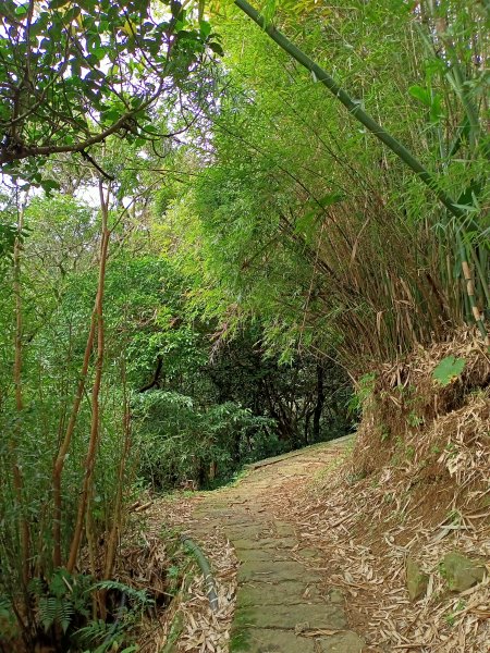 【南山神壽任務尋寶趣】流水潺潺的坪頂古圳親山步道→清風亭→大崎頭步道1591349