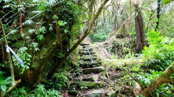 雙溪下坑古道2859483