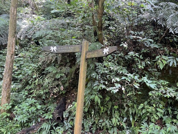 [淡蘭古道] 2025_0802 南路第四段2850947