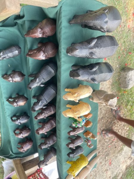 尼泊爾奇旺國家公園4天三夜2788956