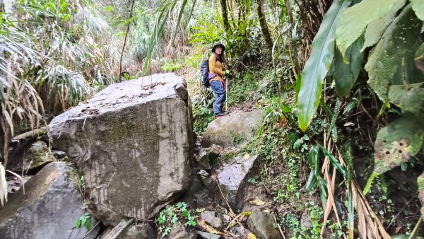 神阿縱走~台灣難抵極~大塔山2971411