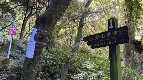 走青山瀑布探老梅冷泉|Qingshan Waterfall|秘境不秘|老梅瀑布|峯花雪月2561828