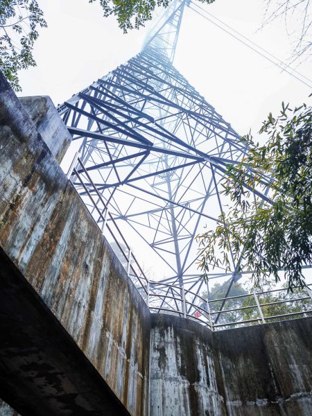 2025-03-08 汶水三山：金童山、汶水山、玉女山 連走2736505