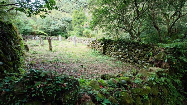 20260125 陽明山前後山健行(無極天元宮~山仔頂步道.向天池.向天山.面天山.二子坪)2998044
