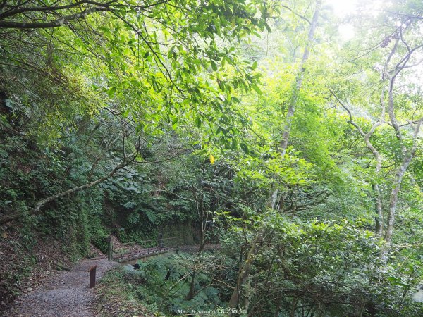 《宜蘭》小太魯閣｜礁溪林美石磐步道201805172889138