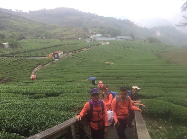 20210417雲林後棟仔山大尖二尖山1358901