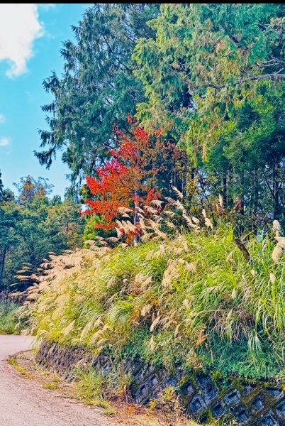 三星山(小百岳#85) 鳩之澤溫泉煮蛋趣2953235