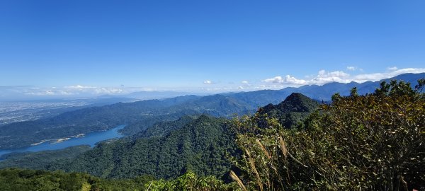 2025/10/10-水田林道上外鳥嘴山2911500