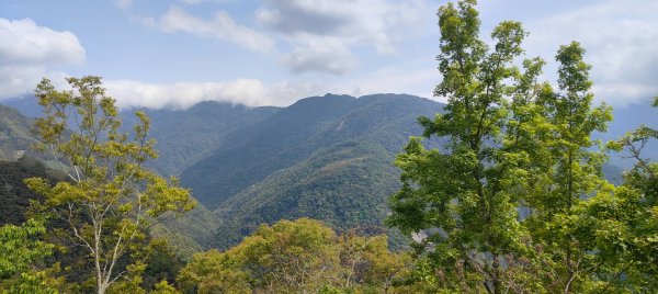 拉拉山國家森林遊樂區2752265
