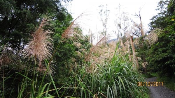 礁溪 - 聖母步道  煙雨故人來 ... 222690