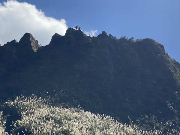 2023/11/23 茶壺山 半平山 燦光寮山 O繞2389156