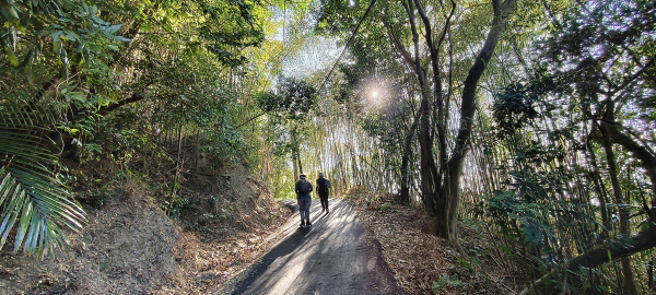 三段崎古道-2025/01/12