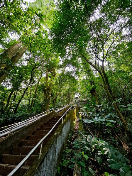 2025年臺北大縱走第七段：世界山莊至飛龍步道政大後山2757362