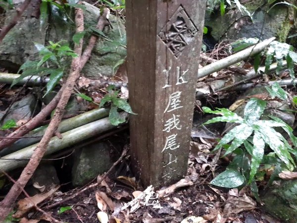 麗陽上屋我尾山2683112