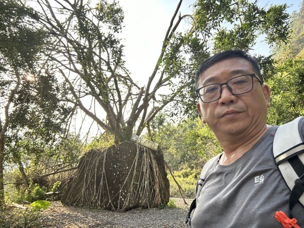 萬年峽谷步道2969842