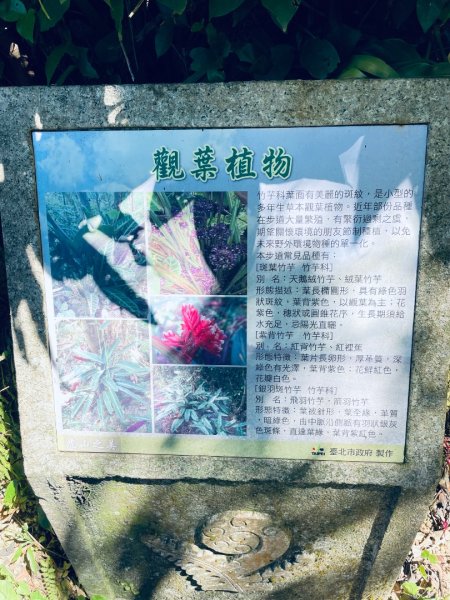 20250928 九五峰-拇指山-象山2903907