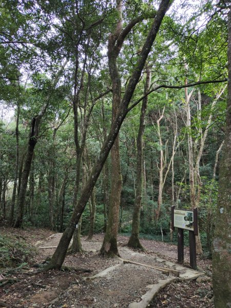 2023.12.27 東眼山2838856