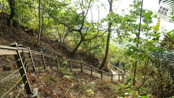 阿里山山脈越嶺步道大串走D3543735