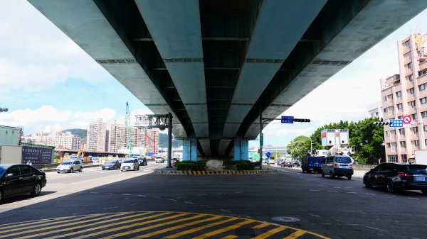 泰山蒜香藤,中港大排2642726