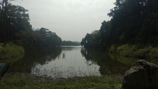 2020 2/4 虎頭埤878923