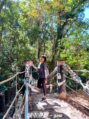 【台中和平】生態廊道。 雪山坑環線步道x巨人之手觀景點2954015