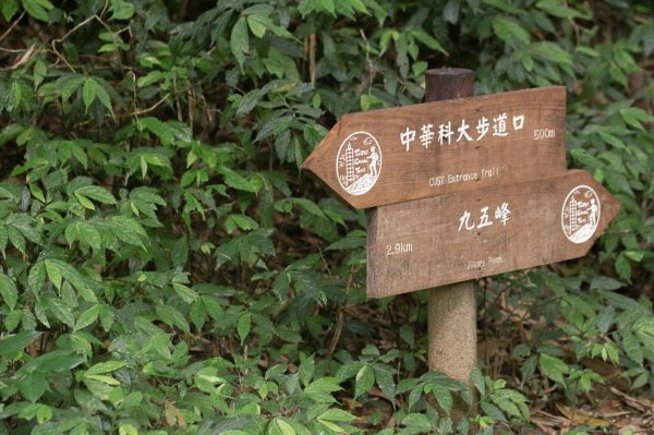 台北大縱走第六段：中華科技大學-捷運麟光站（生態豐富的自然教室）1686129