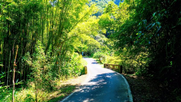 崩山坑越嶺內盤山2913765