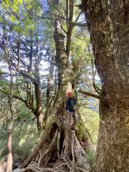 20250620南橫三山塔關山2816705