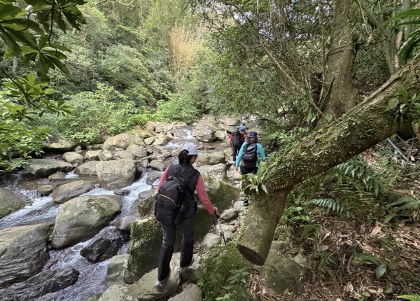 登峰古圳訪高頂山 北五指山 出荷蘭古道 快閃聖人瀑布2982306