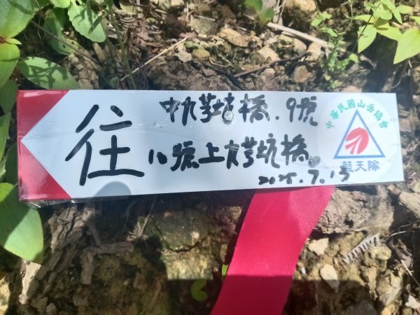 坪林區九芎坑古道+九芎坑圳沽古道+大舌湖山大小O型2845660