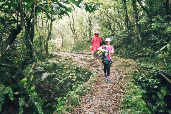 淡蘭古道中路O型988515