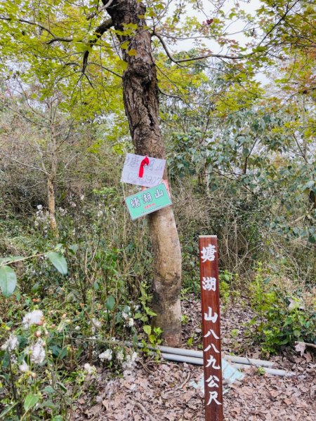 1140226塘湖山-甕缸罈雙O繞2720875