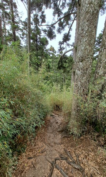 合歡西峰單攻1216883