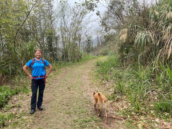 鵝公髻山（小百岳）鵝公髻山東北峰2449870