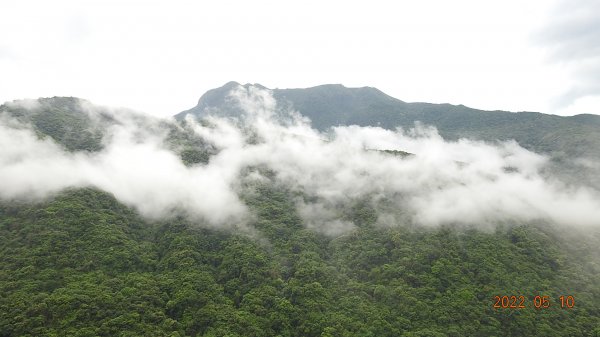 金山八景之竹峰吐霧-美人的靜凝仰望-竹子山(美人山)5/10-12三天1707918