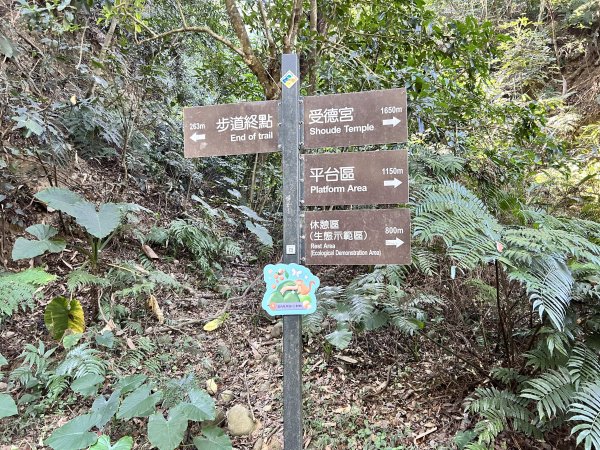 松柏嶺登廟步道2957392